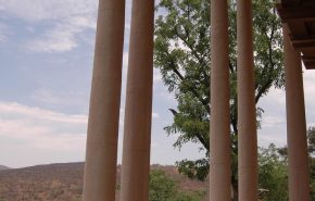 Colour Crete-Creative Plaster (46)