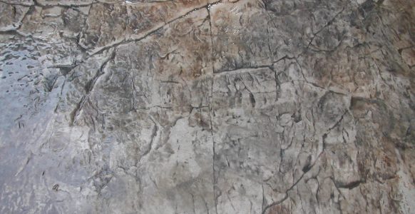 Colour Crete - Floors (17)