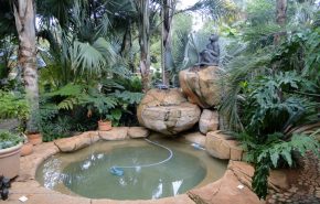 Colour Crete - Pools (37)