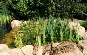 Colour Crete - Rock work (13)