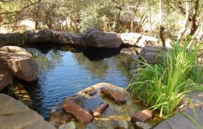 Colour Crete - Rock work (19)